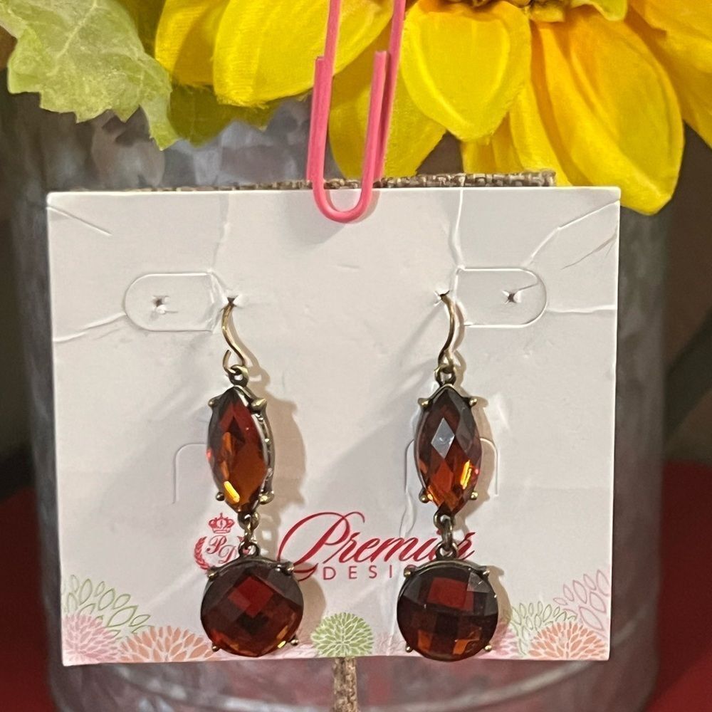 Premier Designs Gold and Brown Earrings